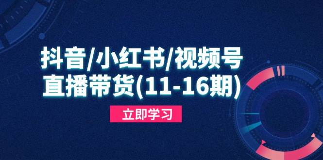 （14611期）抖音/小红书/视频号/直播带货(11-16期)，快速掌握平台规则，打造爆款内容插图