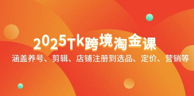 （14638期）2025Tk跨境淘金课：涵盖养号、剪辑、店铺注册到选品、定价、营销等插图
