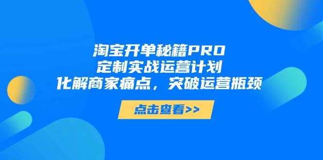 （14642期）淘宝开单秘籍PRO，定制实战运营计划，化解商家痛点，突破运营瓶颈插图