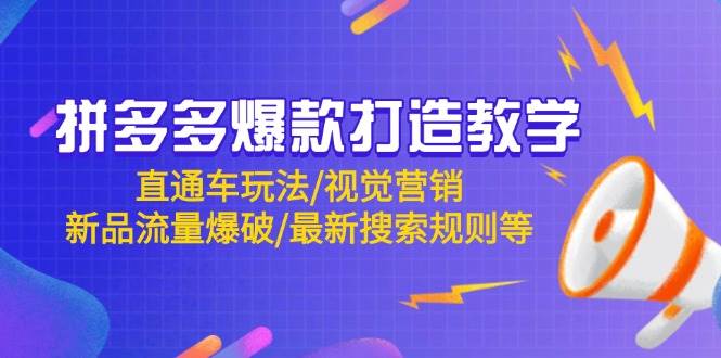 （14681期）拼多多爆款打造教学：直通车玩法/视觉营销/新品流量爆破/最新搜索规则等插图