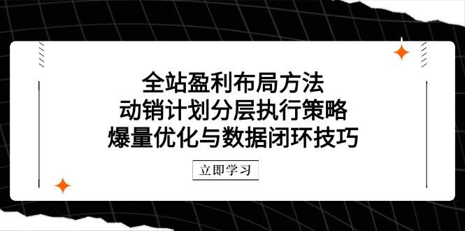 （14698期）全站盈利布局方法：动销计划分层执行策略，爆量优化与数据闭环技巧插图