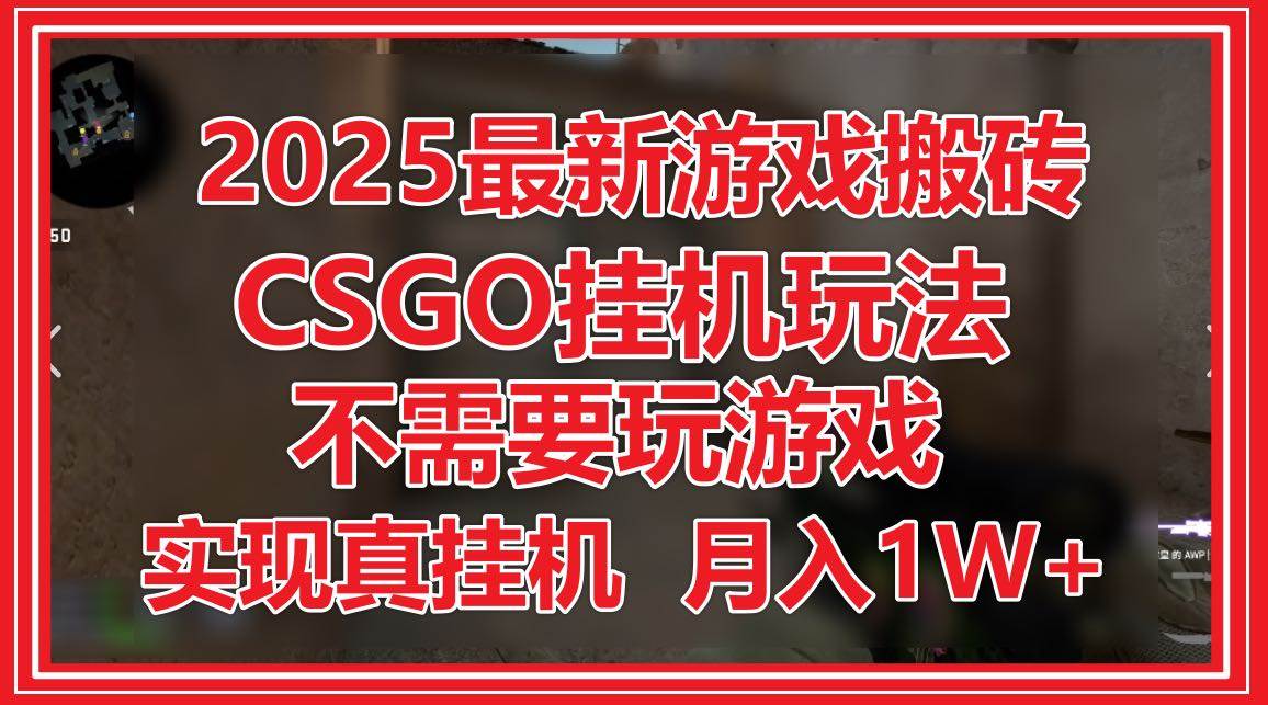 （14743期）2025最新游戏搬砖，CSGO挂机，不需要玩游戏，实现真挂机，月入1W+插图
