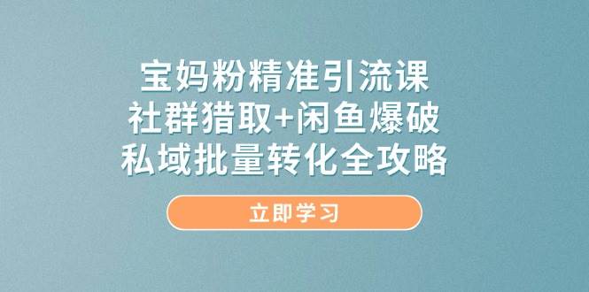 （14820期）宝妈粉精准引流课，社群猎取+闲鱼爆破，私域批量转化全攻略插图