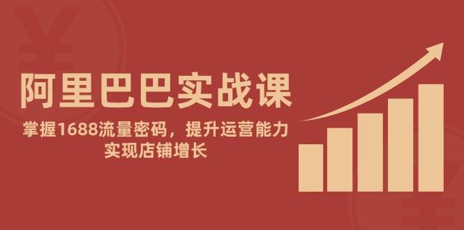 （14830期）阿里巴巴实战课：掌握1688流量密码，提升运营能力，实现店铺增长插图