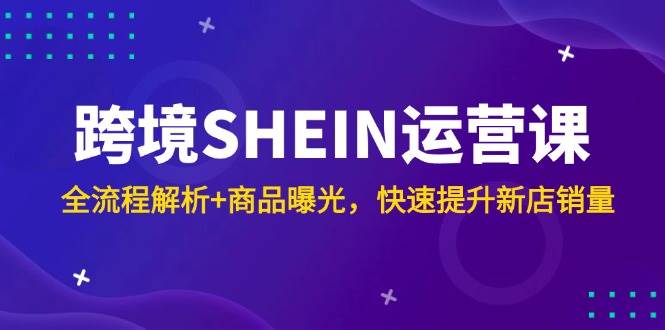 （14832期）跨境SHEIN运营课，全流程解析+商品曝光，快速提升新店销量插图
