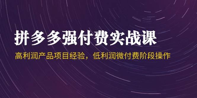 （14874期）拼多多强付费实战课-44期，高利润产品项目经验，低利润微付费阶段操作插图