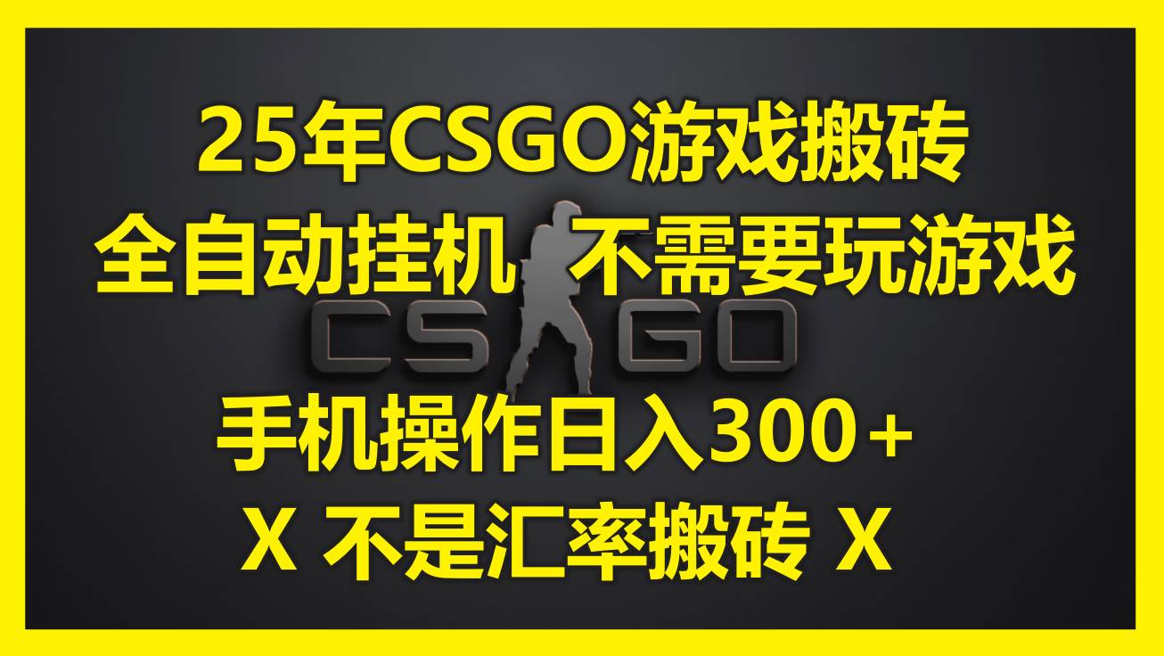 （14902期）25年CSGO游戏搬砖，全自动挂机，不需要玩游戏，手机操作日入300+。(不…插图