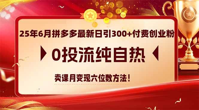 （14989期）25年6月拼多多最新日引300+付费创业粉，0投流纯自热 卖课月变现六位数方法插图