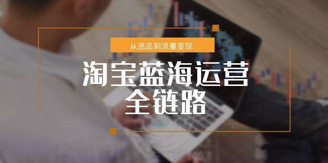 （15160期）淘宝蓝海运营全链路，从选品到流量变现，小类目突围完整方案插图
