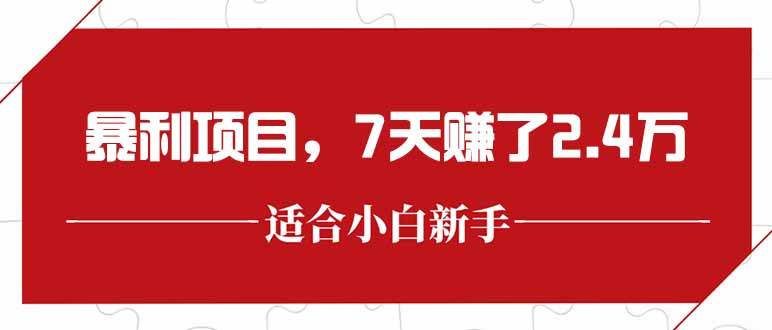 （15228期）最新暴利项目，每单收益轻松在300以上，7天赚了2.4万插图