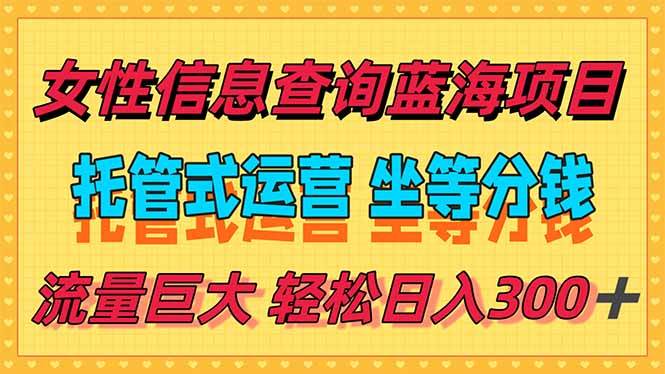 （15216期）稳定日入300＋，小众信息查询蓝海项目，全程懒人式托管，解放你的时间插图