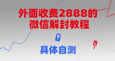 （15301期）外面收费2888的微信解封教程，具体自测插图