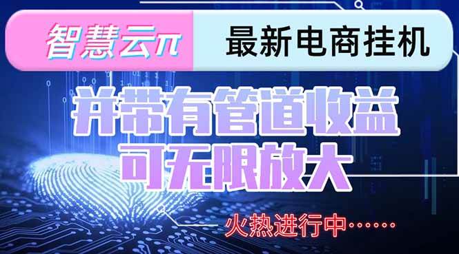 （15314期）智慧云π电脑挂机单机每天收益300—500+ 并带有团队管道收益 可无限放大插图