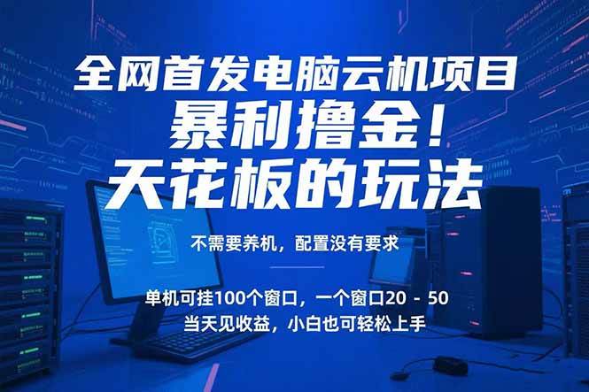 （15323期）电脑云机项目 暴力撸金玩法，不需要养机 配置没有要求 单机100个窗口一…插图