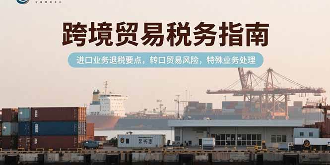 （15381期）跨境贸易税务指南，进口业务退税要点，转口贸易风险，特殊业务处理插图