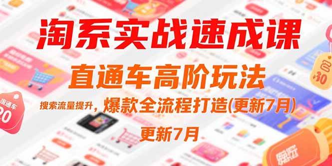 （15374期）淘系实战速成课，直通车高阶玩法，搜索流量提升，爆款全流程打造(更新7月)插图