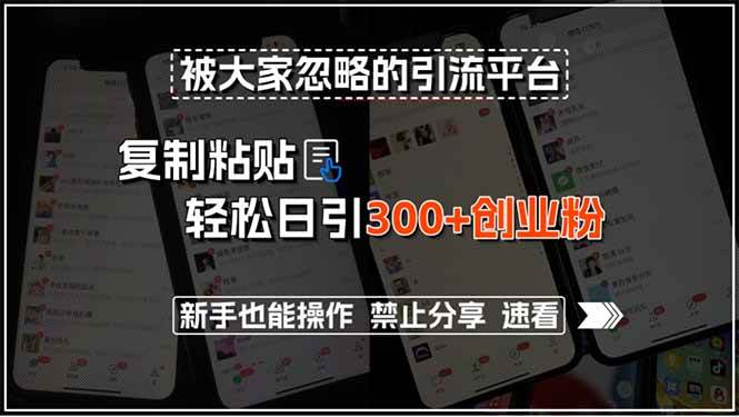 （15428期）被大家忽略的引流平台，复制粘贴轻松日引300+创业粉，新手也能操作，禁…插图