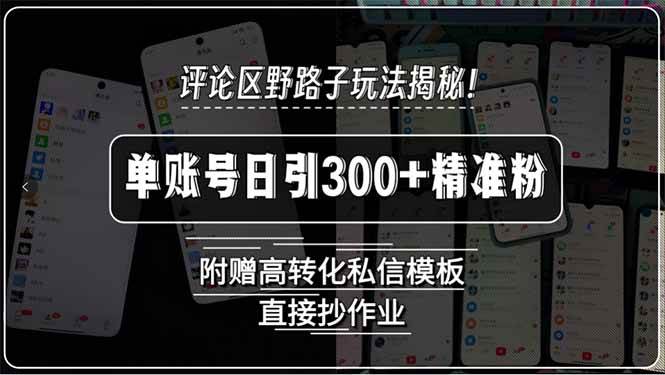 （15466期）评论区野路子玩法揭秘！单账号日引300+精准粉，附赠高转化私信模板，直…插图