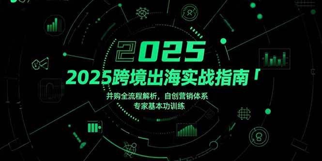 （15503期）2025跨境出海实战指南，并购全流程解析，自创营销体系，专家基本功训练插图