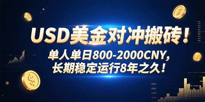 （15551期）USD美金对冲搬砖!单人单日800-2000CNY，长期稳定运行8年之久!插图