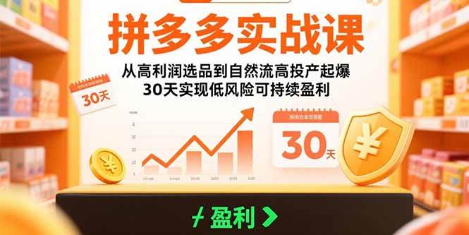 （15586期）拼多多实战课：从高利润选品到自然流高投产起爆 30天实现低风险可持续盈利插图