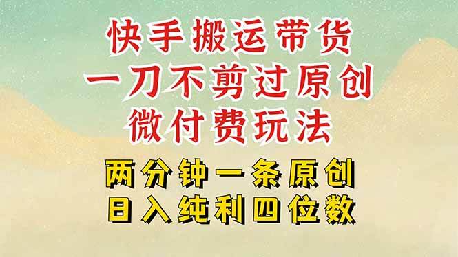 （15577期）快手黑科技搬运带货，一刀不剪过原创，微付费投流玩法，轻松日入四位数…插图
