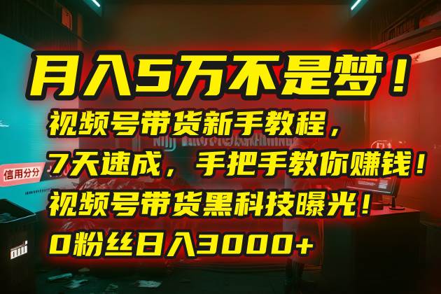 （15595期）月入5万不是梦！视频号带货新手教程，7天速成，手把手教你赚钱！视频号…插图
