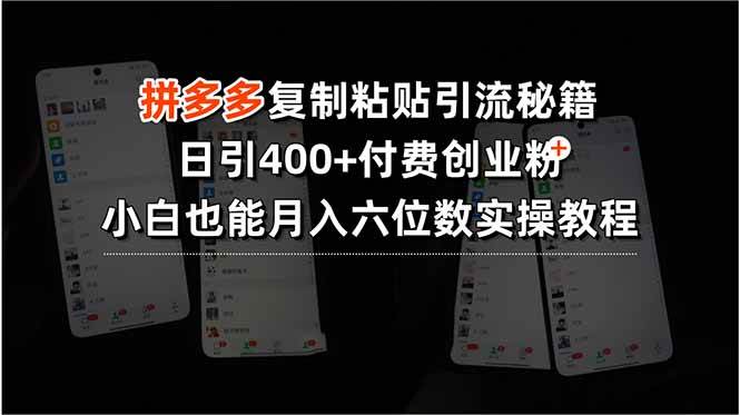 （15613期）拼多多复制粘贴引流秘籍，日引400+付费创业粉，小白也能月入六位数实操…插图