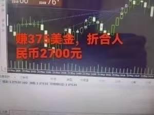 （15632期）稳定8年的美刀搬砖项目，单人每日收益800—3000.团队4人月入10W+.可线下插图2