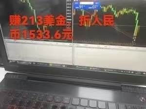 （15632期）稳定8年的美刀搬砖项目，单人每日收益800—3000.团队4人月入10W+.可线下插图3