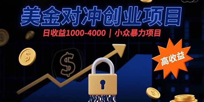 （15642期）美金对冲创业项目，日收益1000-4000，小众暴力项目插图