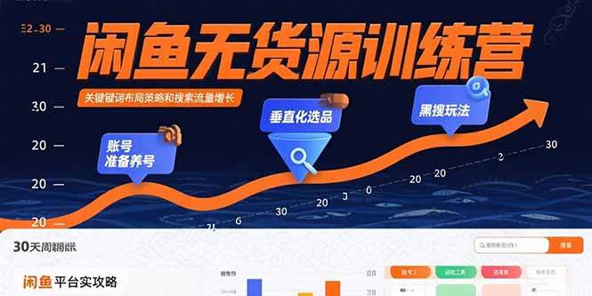 （15698期）闲鱼无货源训练营：账号准备养号/垂直化选品/黑搜玩法，0基础30天盈利指南插图