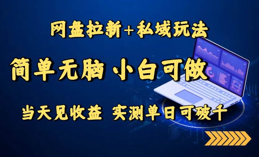（15744期）网盘拉新+私域玩法，简单无脑，小白可做，当天见收益，实测单日可破千插图