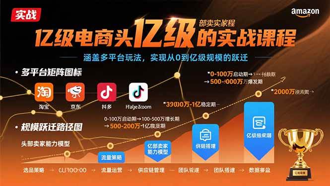 （15803期）亿级电商头部卖家的实战课程：涵盖多平台玩法，实现从0到亿级规模的跃迁插图