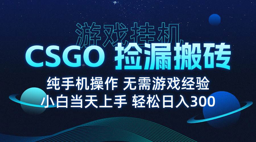 （15820期）8月最新游戏搬砖，CSGO纯挂机，不需要玩游戏，实现真挂机，月入1W+插图1