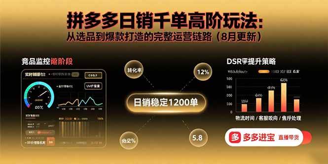（15850期）拼多多日销千单高阶玩法：从选品到爆款打造的完整运营链路（8月更新）插图