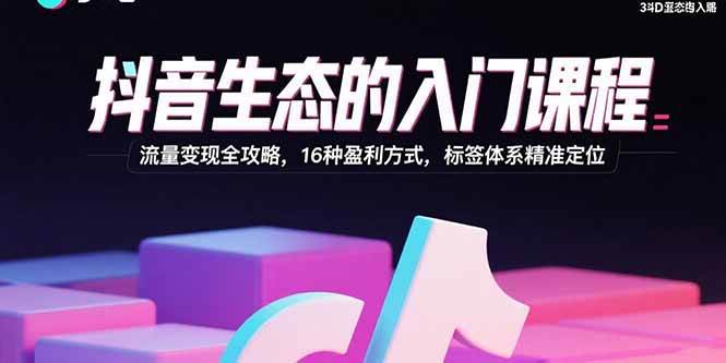 （15856期）抖音生态的入门课程：流量变现全攻略，16种盈利方式，标签体系精准定位插图