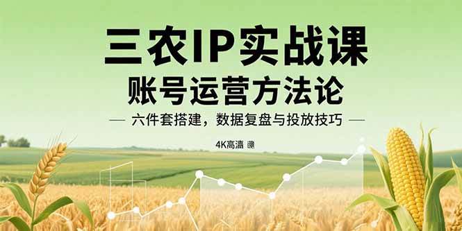 （15864期）三农IP实战课：账号运营方法论，六件套搭建，数据复盘与投放技巧插图