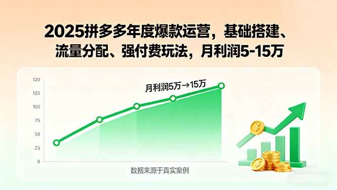（15973期）2025拼多多年度爆款运营，基础搭建、流量分配、强付费玩法，月利润5-15万插图