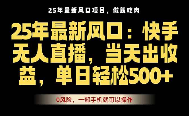 （16007期）25年最新无人直播玩法，当天秒出单，一部手机就可操作插图