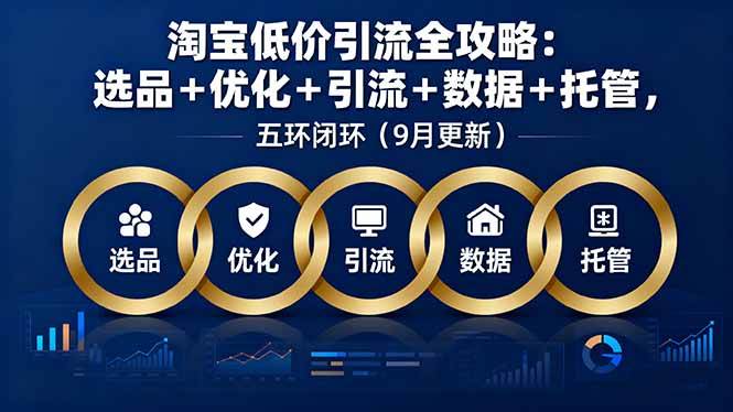 （16009期）淘宝低价引流全攻略：选品＋优化＋引流＋数据＋托管，五环闭环（9月更新）插图