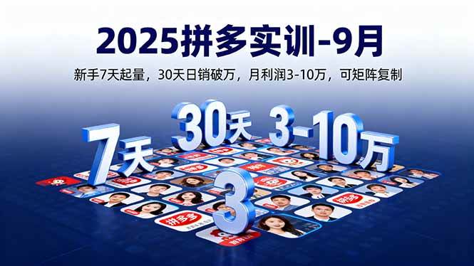 （16008期）2025拼多多实训-9月：新手7天起量,30天日销破万,月利润3-10万,可矩阵复制插图
