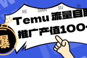(16636期)专注于Temu、商家提供精准曝光浏览量,助力店铺排名提升和转化。单机日收入80~130