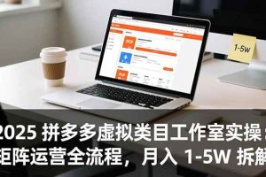 (16748期)2025 拼多多虚拟类目工作室实操:矩阵运营全流程,月入 1-5W 拆解